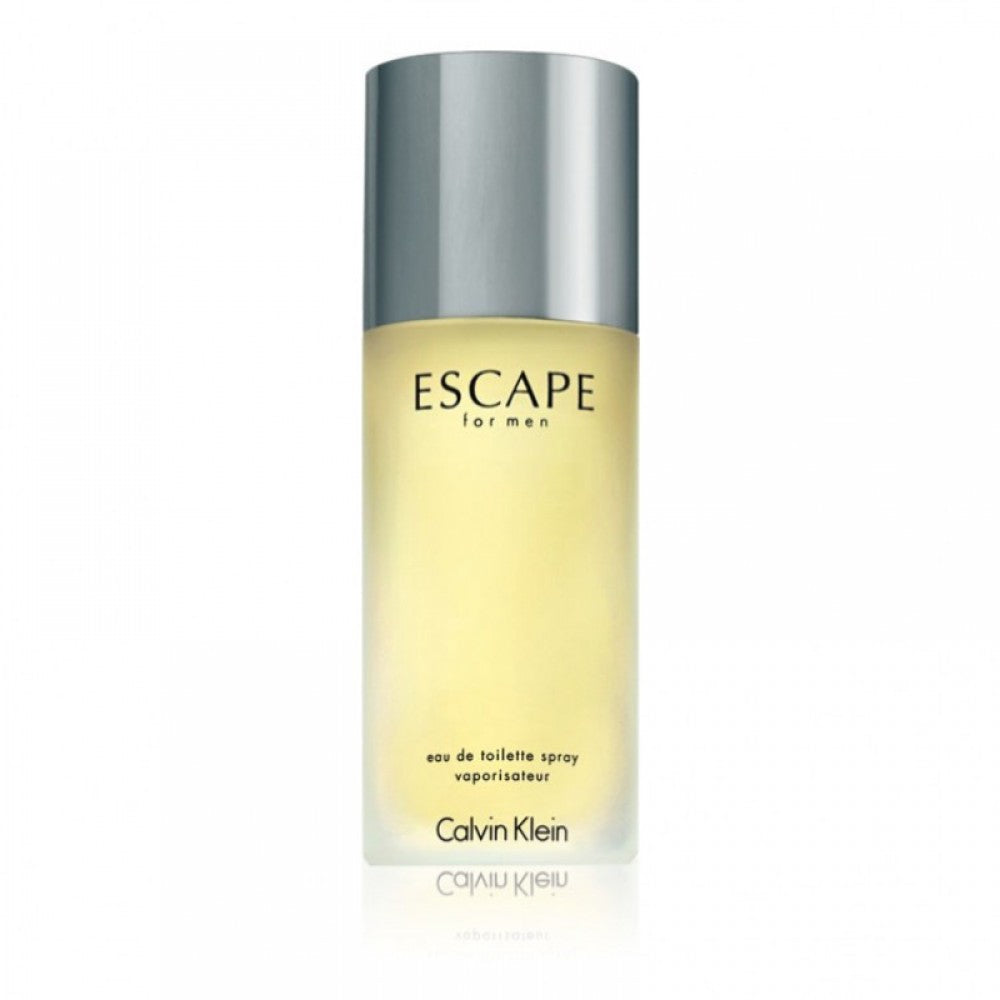 Calvin Klein Escape EDT 100ml Men's