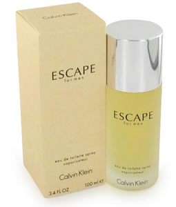 Calvin Klein Escape EDT 100ml Men's