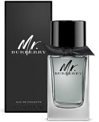 Burberry Mr Burberry EDT 100ml
